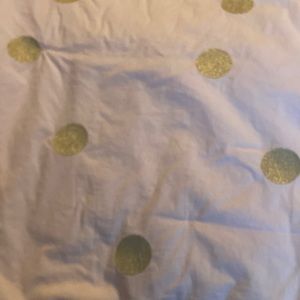 Pottery Barn Teen 2 Euro Shams Emily & Merritt Gold Dot
